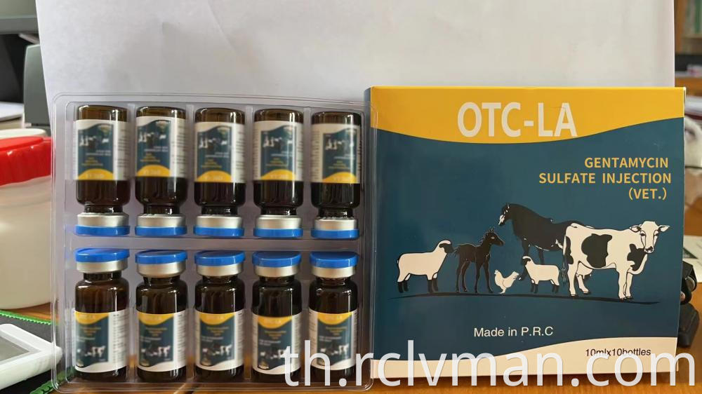 Gentamycin Sulfate Injection 2